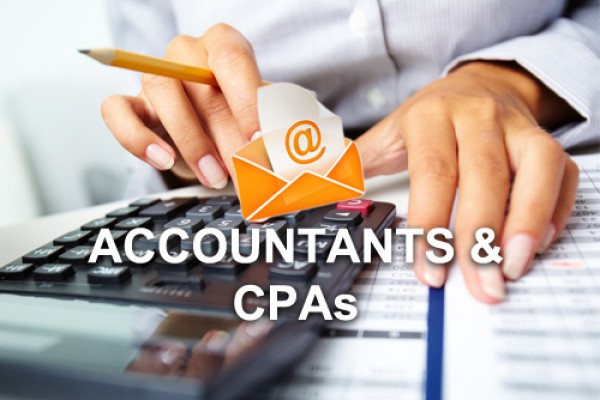 accountants