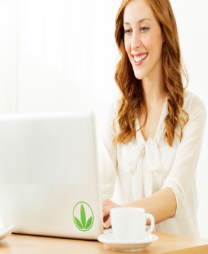 Bizopp Surveys Database