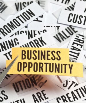 Business Opportunity seekers