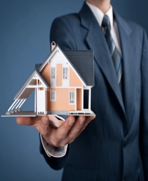 Real Estate and Land Developers